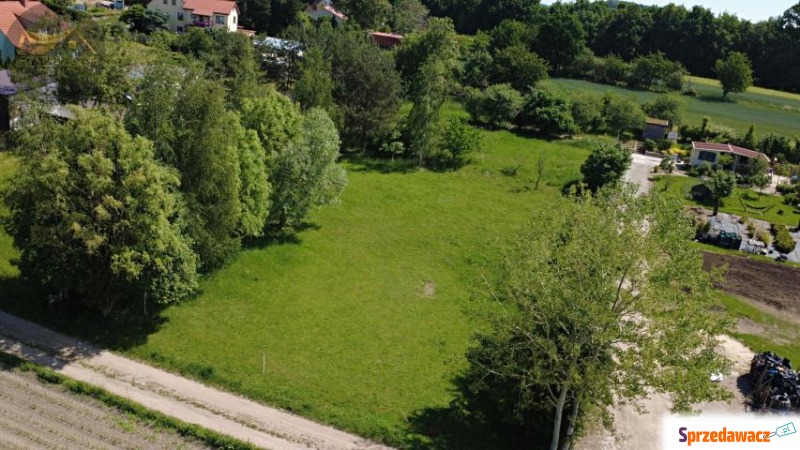 DZIAŁKA BUDOWLANA W GRODZISZCZU/ WIDOK NA GÓRY - Działki na sprzedaż - Grodziszcze