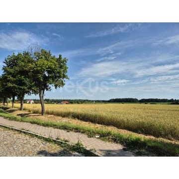 Działka budowlana Proszków sprzedam, pow. 1000 m2  (10a) - zdjęcie 3