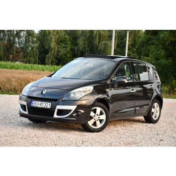 Renault Scenic  Minivan/Van 2009,  2.0 benzyna, automat - Na sprzedaż za 20 999 zł - Nowe Sójki - zdjęcie 3