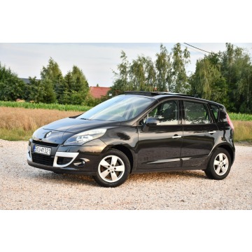 Renault Scenic  Minivan/Van 2009,  2.0 benzyna, automat - Na sprzedaż za 20 999 zł - Nowe Sójki - zdjęcie 4