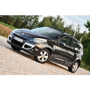 Renault Scenic  Minivan/Van 2009,  2.0 benzyna, automat - Na sprzedaż za 20 999 zł - Nowe Sójki - zdjęcie 5