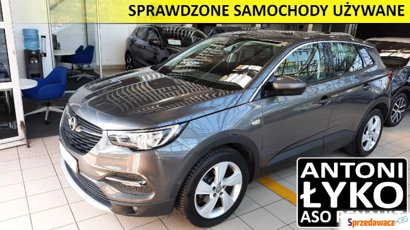 Opel Grandland X  SUV 2019,  1.2 benzyna - Na sprzedaż za 61 900 zł - Kraków