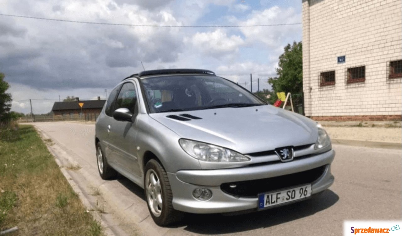 Peugeot 206, 2004, Benzyna