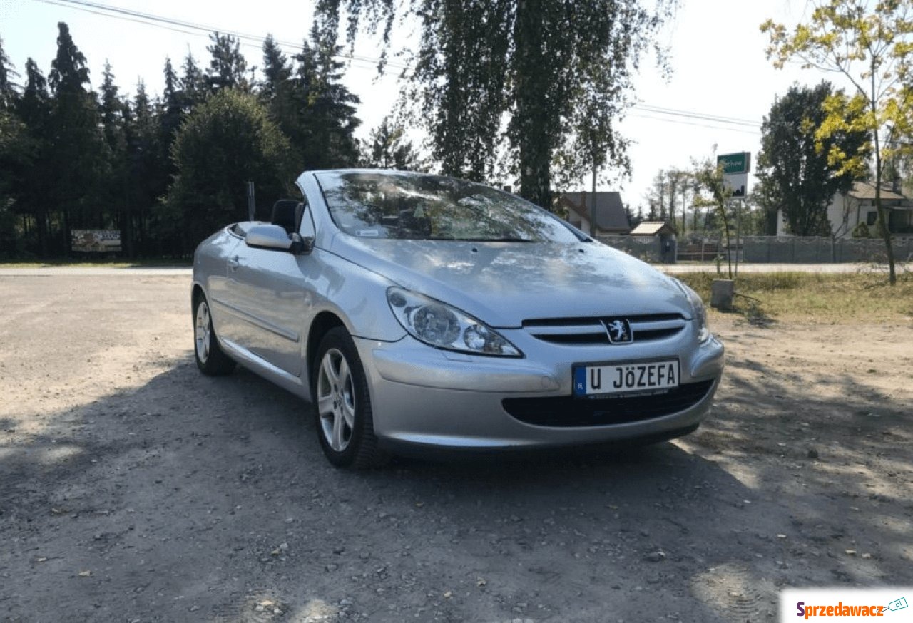 Peugeot 307 CC 2004