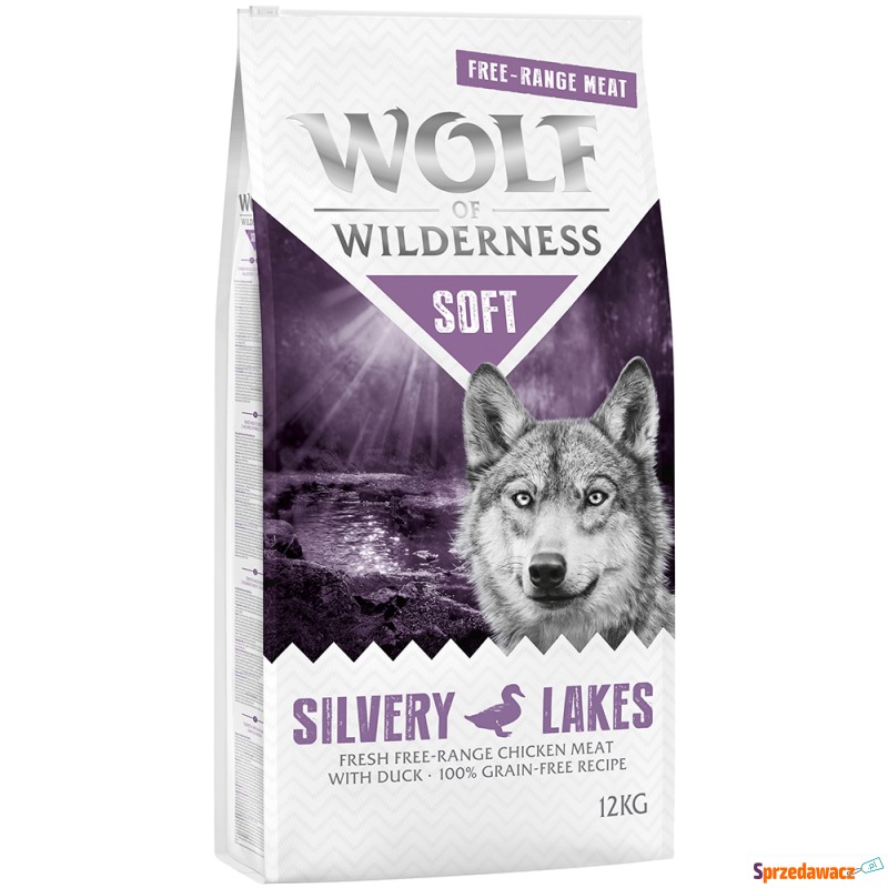 Wolf of Wilderness 