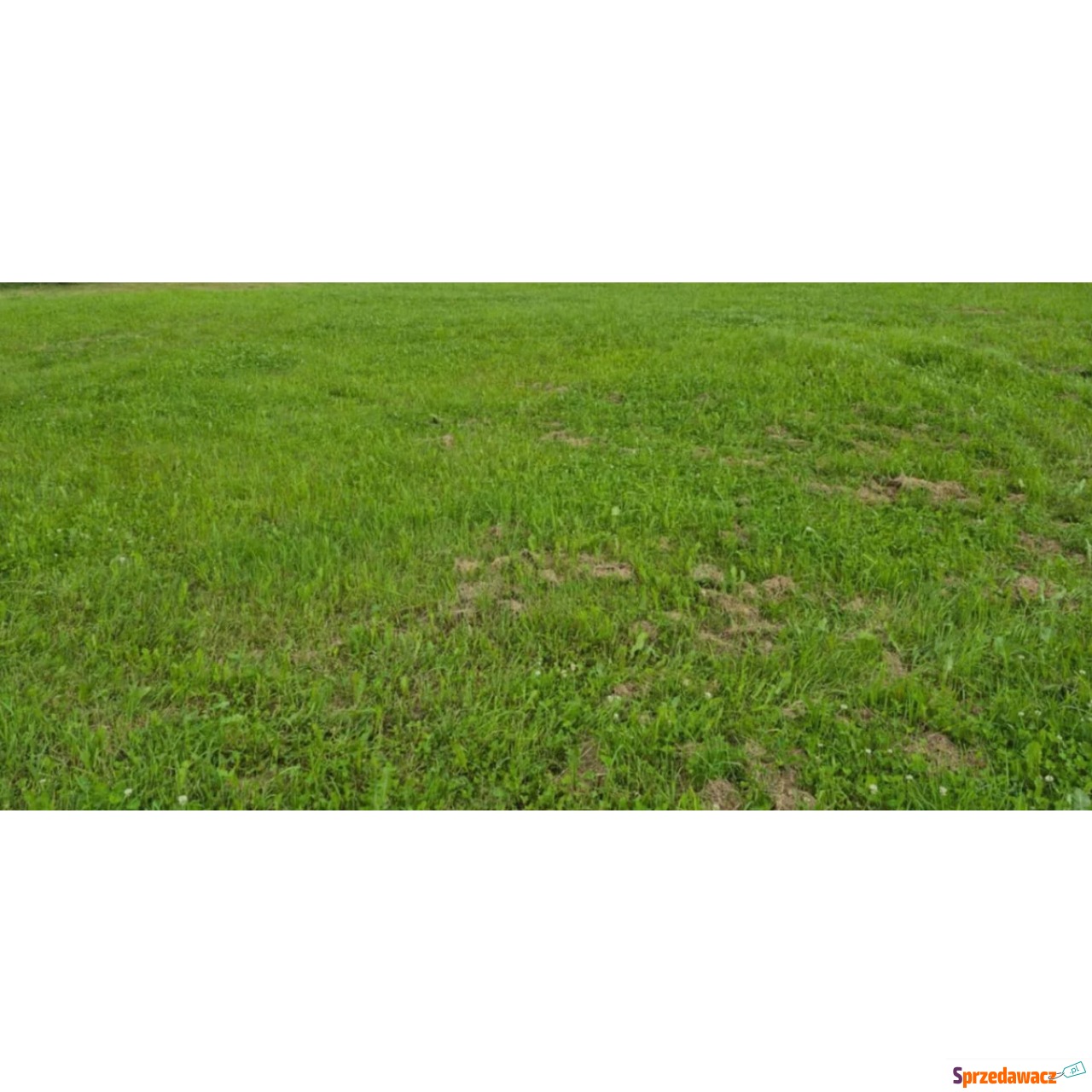 Działka Budowlana (400 m2) okolica...