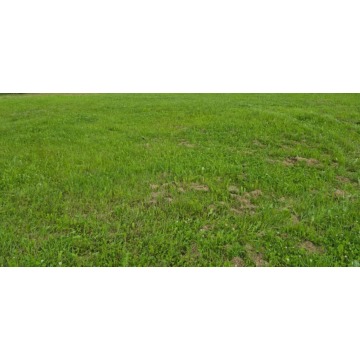 Działka Budowlana (400 m2) okolica Samotworu MEDIA (Gałów)