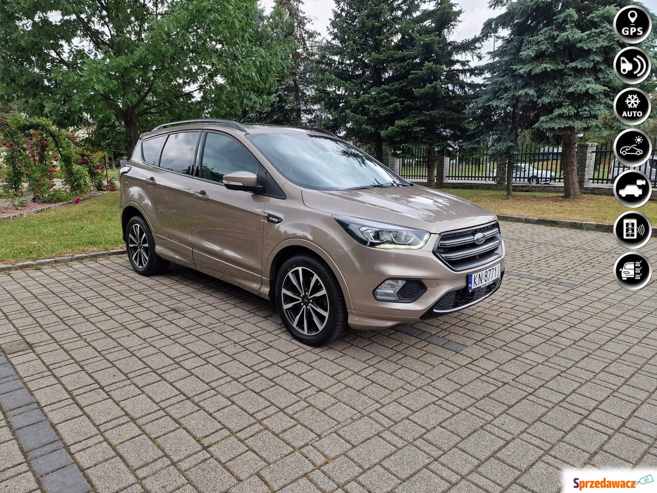 Ford Kuga 2019