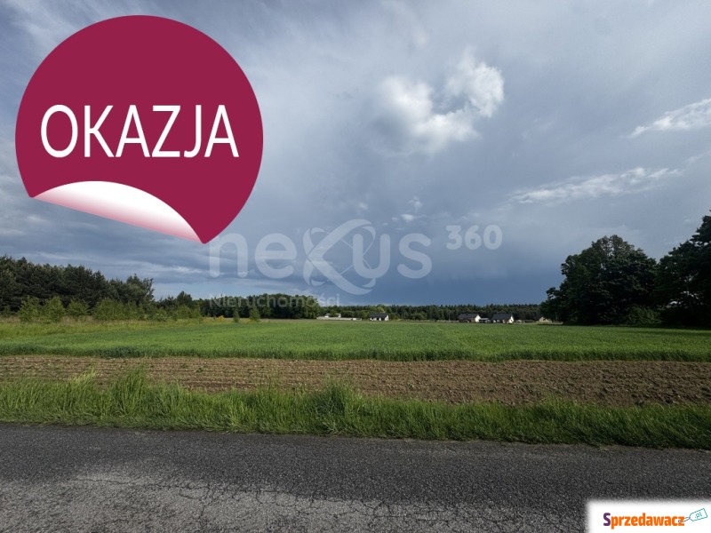 Przestrzeń i spokój - 3 hektary...