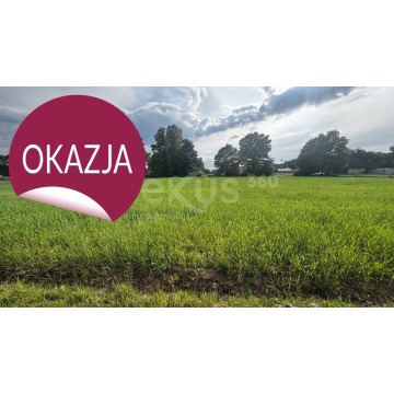 Działka budowlana Sądrożyce sprzedam, pow. 30 018 m2  (3ha) - zdjęcie 3