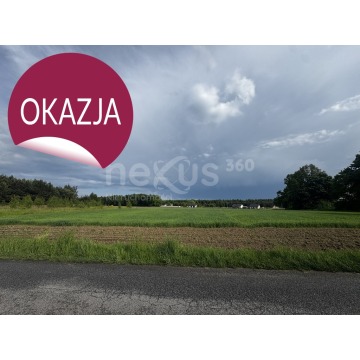 Przestrzeń i spokój - 3 hektary oazy w super cenie