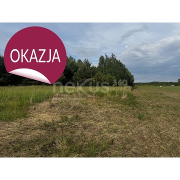 Działka budowlana Sądrożyce sprzedam, pow. 30 018 m2  (3ha) - zdjęcie 4