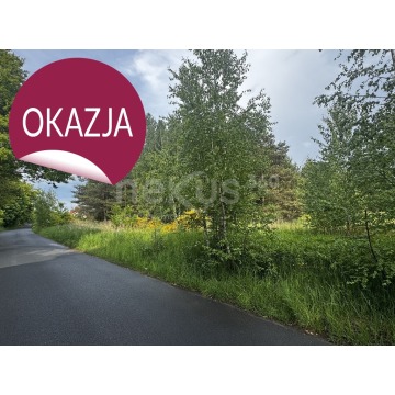 Działka budowlana Sądrożyce sprzedam, pow. 30 018 m2  (3ha) - zdjęcie 6