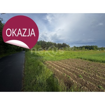 Działka budowlana Sądrożyce sprzedam, pow. 30 018 m2  (3ha) - zdjęcie 8