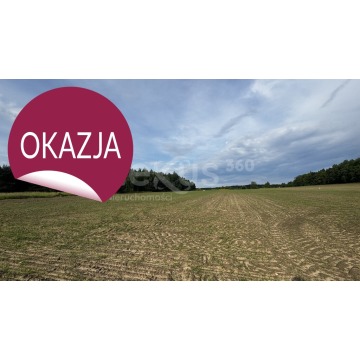 Działka budowlana Sądrożyce sprzedam, pow. 30 018 m2  (3ha) - zdjęcie 5