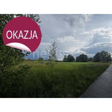 Działka budowlana Sądrożyce sprzedam, pow. 30 018 m2  (3ha) - zdjęcie 7