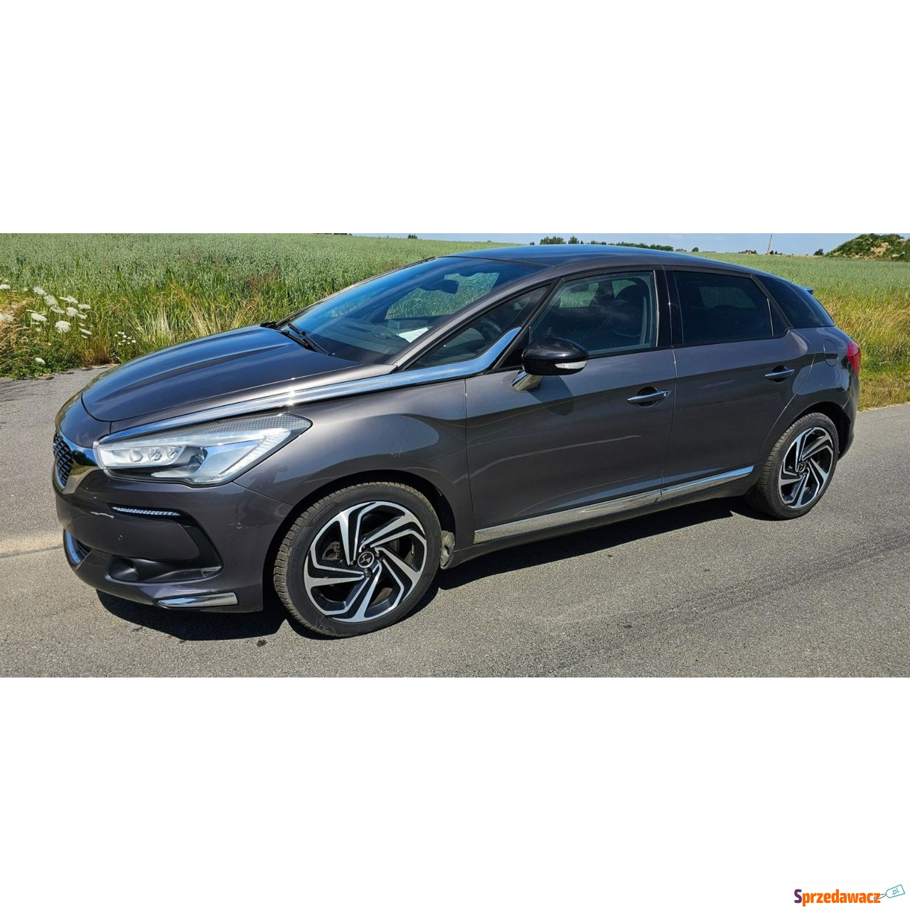 DS Automobiles 2017