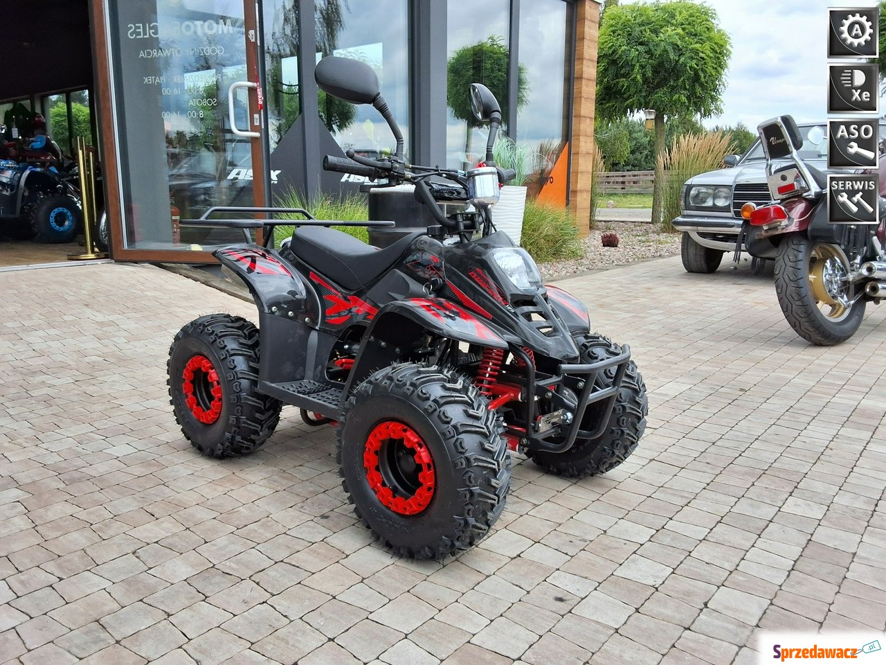 XTR Inny - Bigfoot 125 Pro kła...