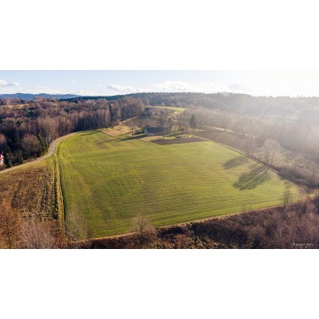 Działka budowlana Tuchów sprzedam, pow. 1370 m2  (13.7a) - zdjęcie 5