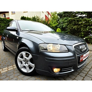 Audi A3 - Panorama dach 1.6 Benzyna Klima Felgi Zarejestrowany!!