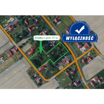 sprzedaż działka budowlana 37 ar Kały-Opole 22 km.