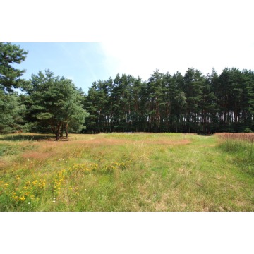 Działka rolna Szczecin - Warszewo sprzedam, pow. 1960 m2  (19.6a) - zdjęcie 8