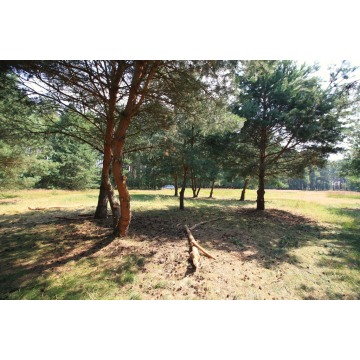 Działka rolna Szczecin - Warszewo sprzedam, pow. 1960 m2  (19.6a) - zdjęcie 10