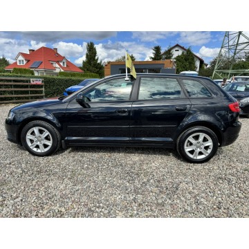 Audi A3  Hatchback 2010,  2.0 diesel - Na sprzedaż za 24 900 zł - Reda - zdjęcie 8