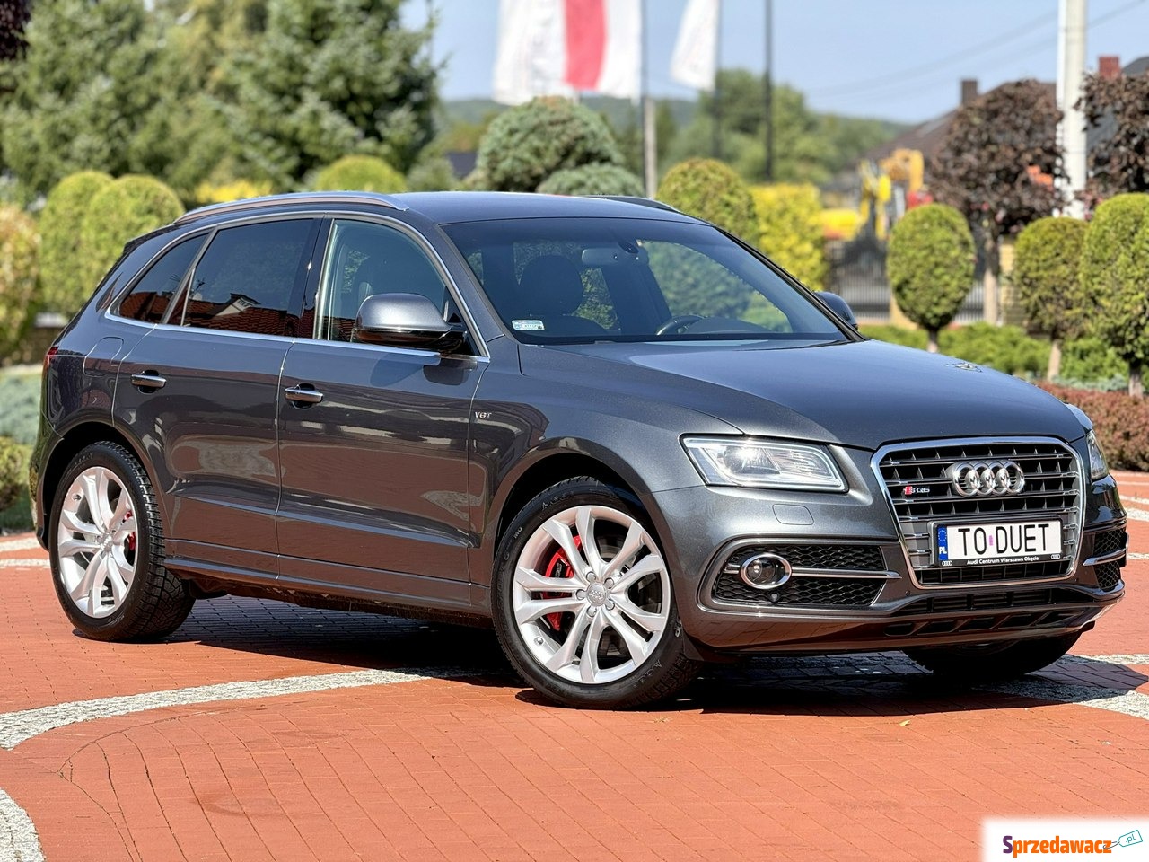Audi SQ5 2015