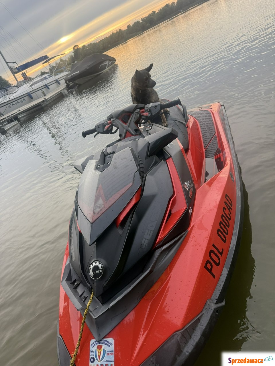Inna Inny - Sea-Doo RXP 300RS –...