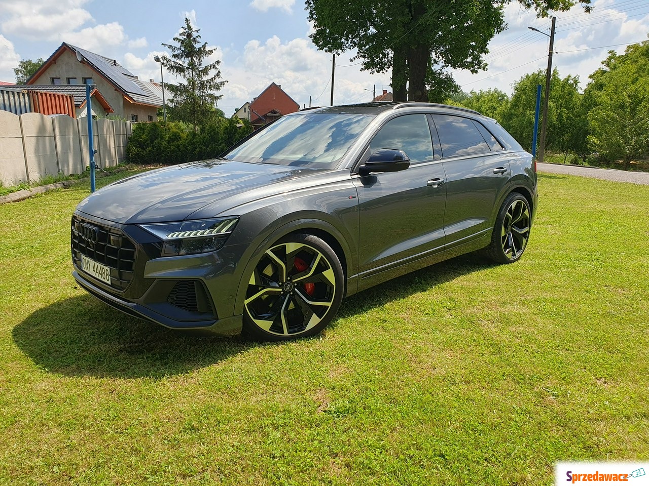 Audi Q8 2019