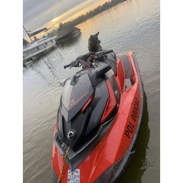 Inna Inny - Sea-Doo RXP 300RS – 300 KM SKUTER WODNY zadbany i serwisowany