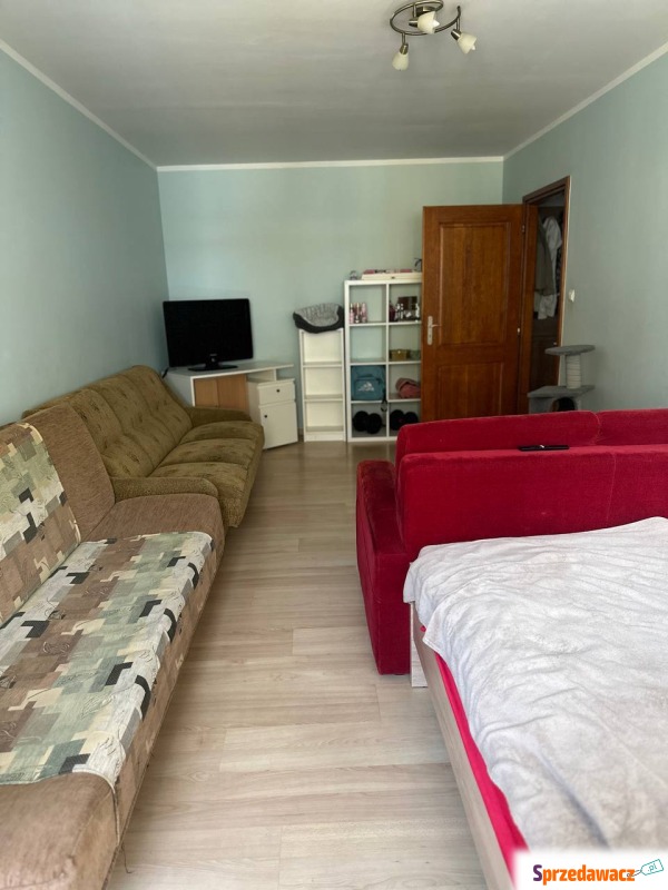 Mieszkanie dwupokojowe Wrocław - Fabryczna,   54 m2, trzecie piętro - Do wynajęcia