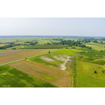 Działka rolna Kwików sprzedam, pow. 3600 m2  (36a) - zdjęcie 7