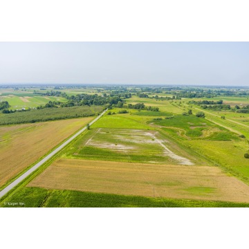 Działka rolna Kwików sprzedam, pow. 3600 m2  (36a) - zdjęcie 6