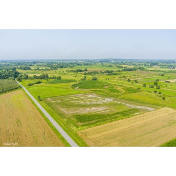 Działka rolna Kwików sprzedam, pow. 3600 m2  (36a) - zdjęcie 5