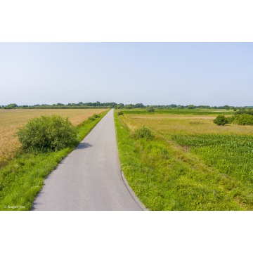 Działka rolna Kwików sprzedam, pow. 3600 m2  (36a) - zdjęcie 4