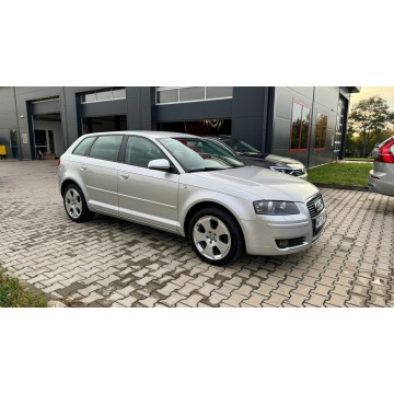 Audi A3  Hatchback 2006,  1.6 benzyna - Na sprzedaż za 13 500 zł - Gołków - zdjęcie 3