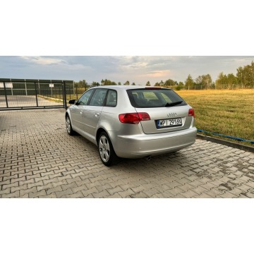 Audi A3  Hatchback 2006,  1.6 benzyna - Na sprzedaż za 13 500 zł - Gołków - zdjęcie 6