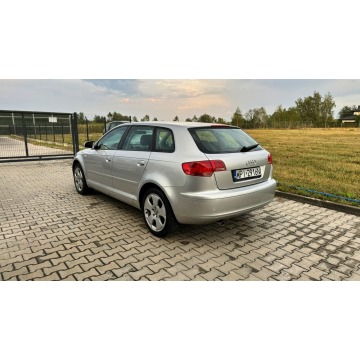 Audi A3  Hatchback 2006,  1.6 benzyna - Na sprzedaż za 13 500 zł - Gołków - zdjęcie 7