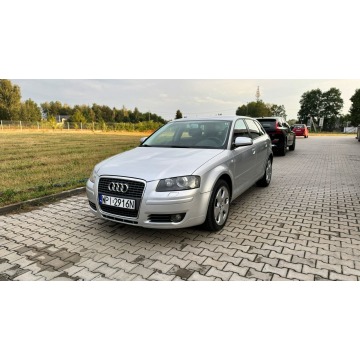 Audi A3  Hatchback 2006,  1.6 benzyna - Na sprzedaż za 13 500 zł - Gołków - zdjęcie 8