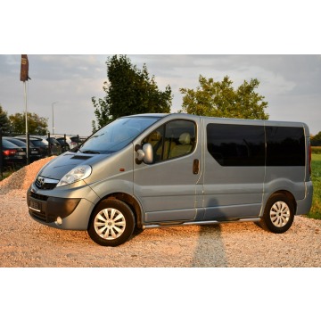 Opel Vivaro 2007,  2.0 diesel - Na sprzedaż za 20 999 zł - Nowe Sójki - zdjęcie 12