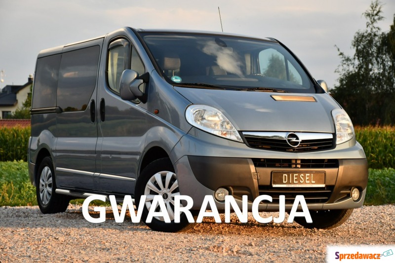 Opel Vivaro 2007,  2.0 diesel - Na sprzedaż za 20 999 zł - Nowe Sójki