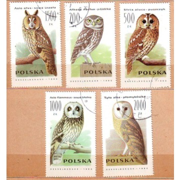 Polska zn. -  dane w opisie.
