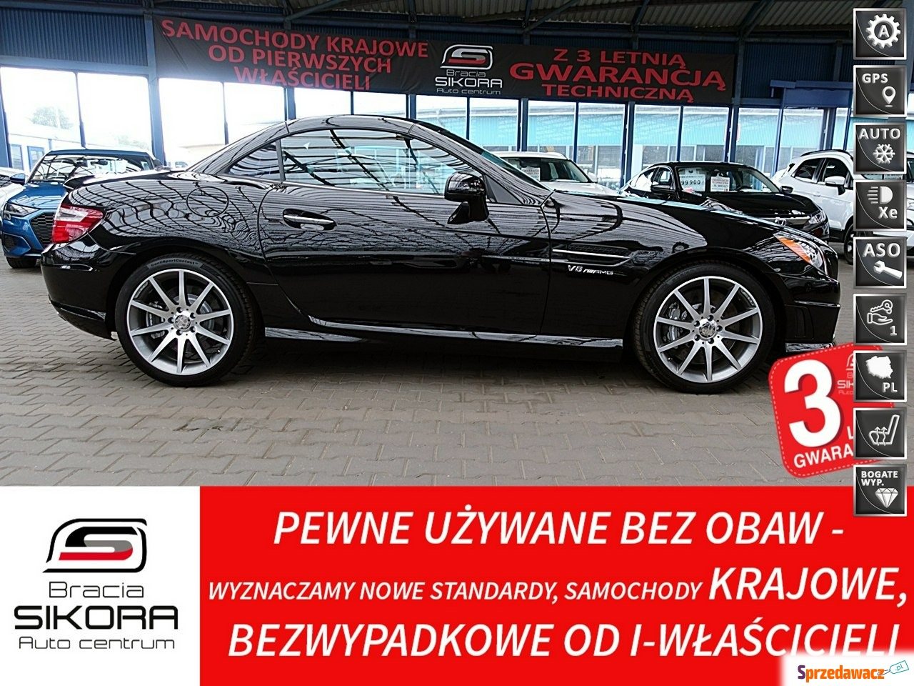 Mercedes - Benz SLK-klasa 2013