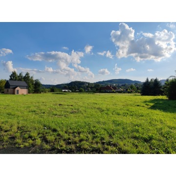 Działka rolno-budowlana Czchów sprzedam, pow. 7287 m2  (0.73ha), uzbrojona - zdjęcie 2