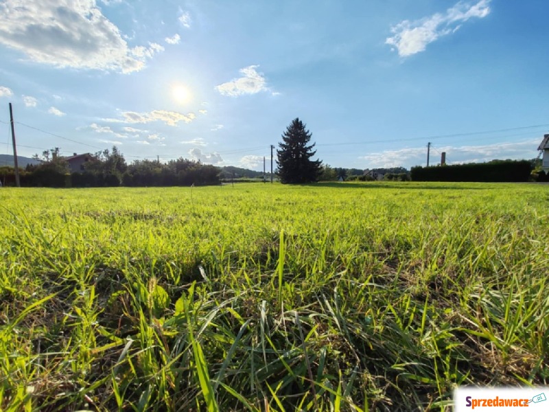 Działka rolno-budowlana Czchów sprzedam, pow. 7287 m2  (0.73ha), uzbrojona
