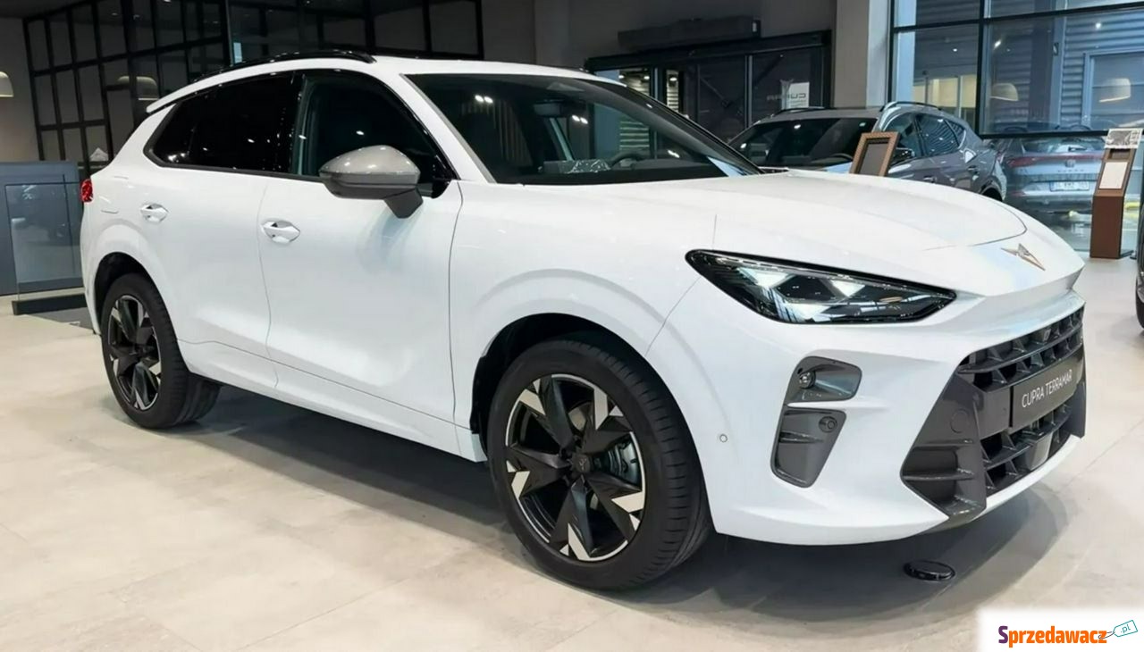 Cupra 2025