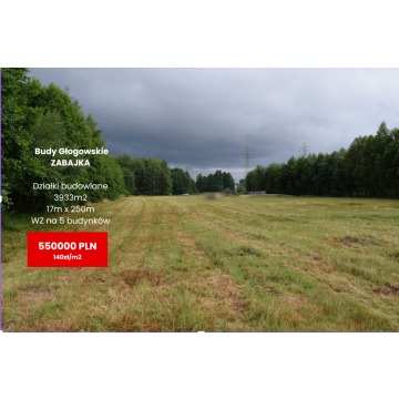 Działki budowlane 39a w Budach Głogowskich