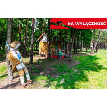 SKANSEN NA SPRZEDAŻ Baranów Sandomierski - Pozostałe nieruchomości - Skopanie - zdjęcie 6
